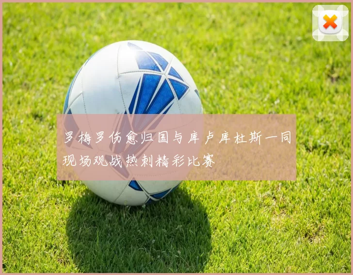 罗梅罗伤愈归国与库卢库杜斯一同现场观战热刺精彩比赛